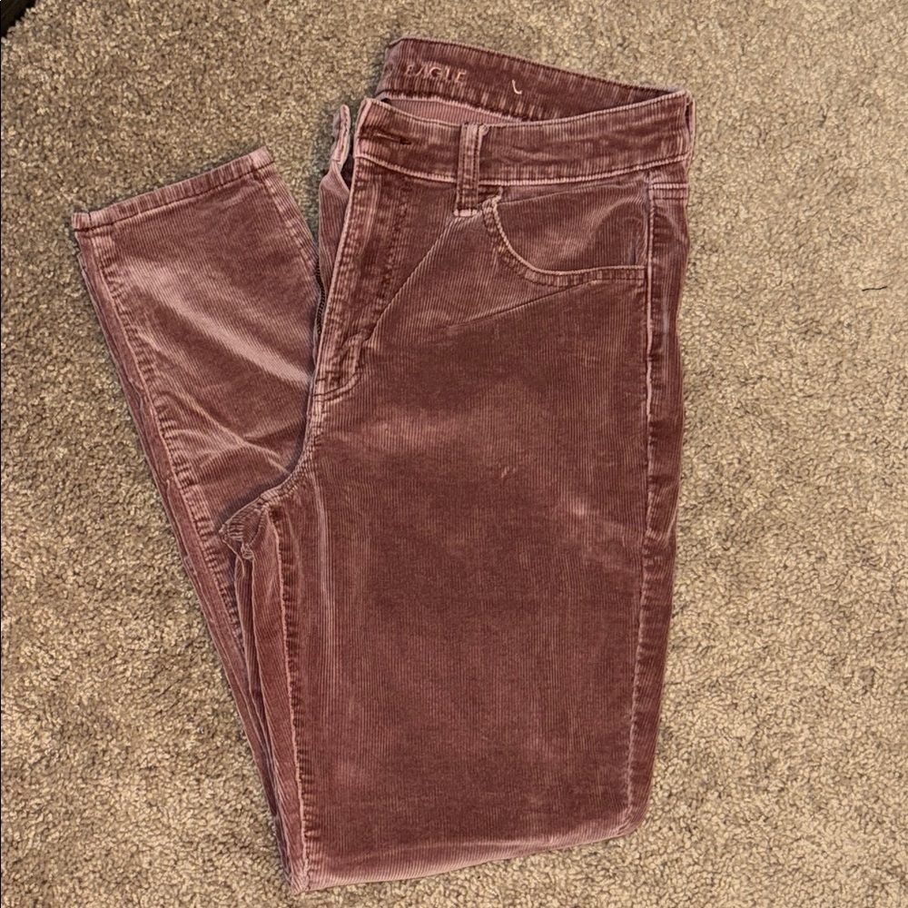 American Eagle Outfitters Velvet Pants in Dusty Rose